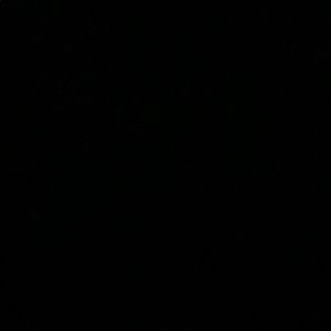 Meet your Posher, Stevie